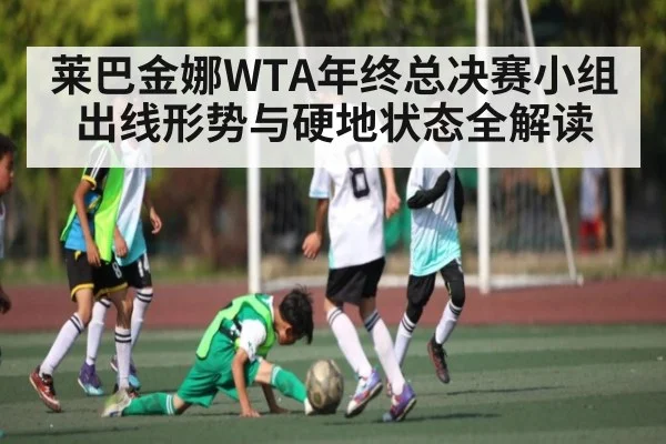 莱巴金娜WTA年终总决赛小组出线形势与硬地状态全解读