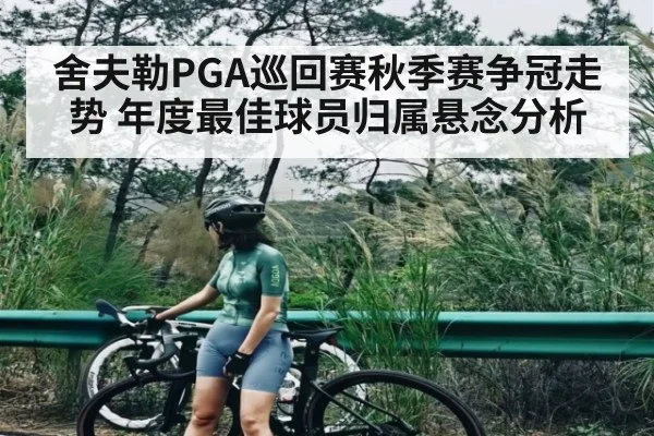 舍夫勒PGA巡回赛秋季赛争冠走势 年度最佳球员归属悬念分析